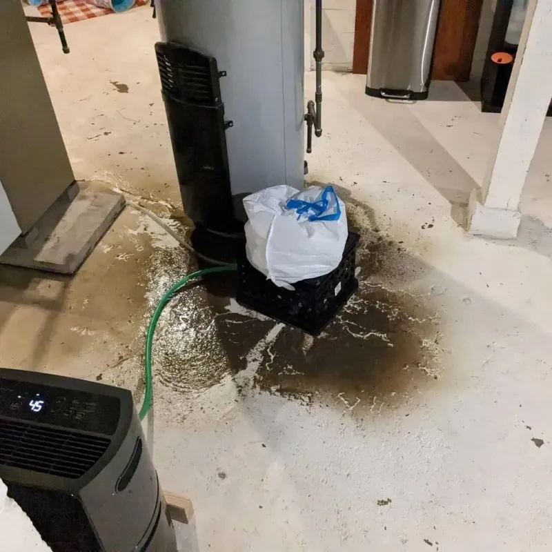 Sewage Backup Cleanup Service in Asotin County, WA